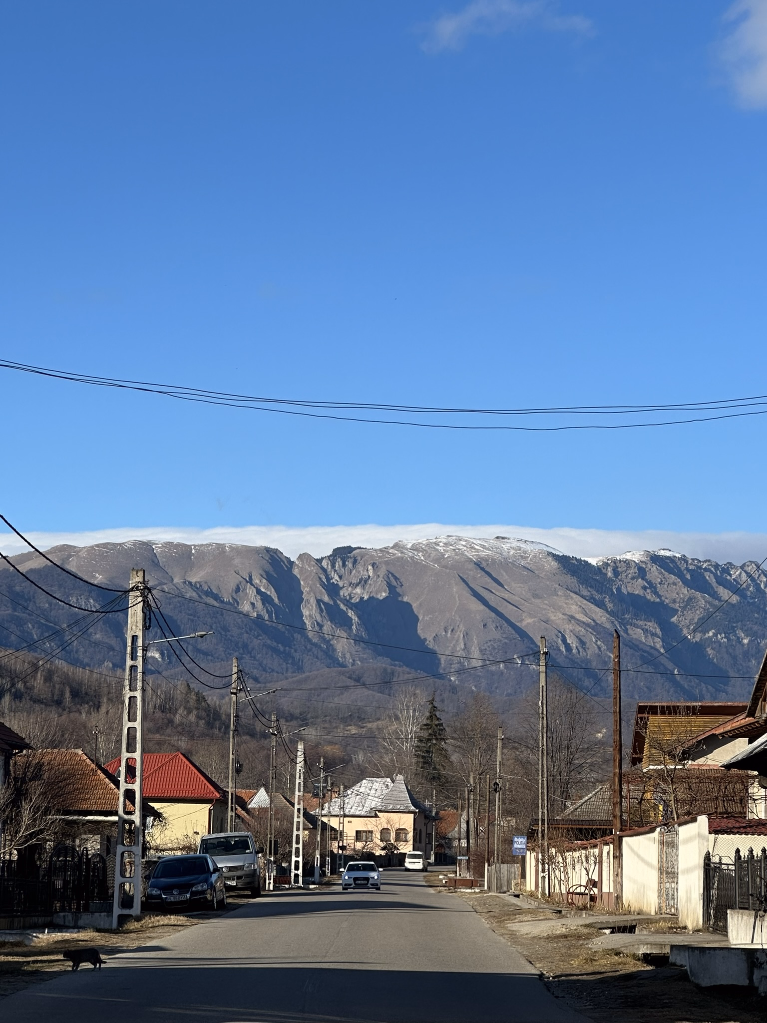 Bărbătești